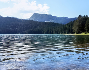 озеро_лес_лето