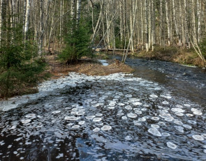 Лед в виде блинов на Неглинке