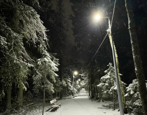 снег_парк_зима_фонарь