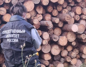 СК, бревна