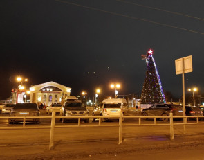 новогодняя ель