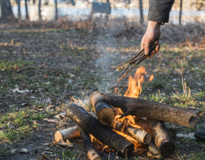 пожар_лес_костер