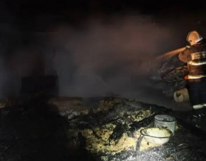 Пожар в Карелии