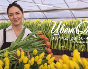 девушка с тюльпанами