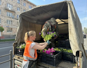Высадка цветов
