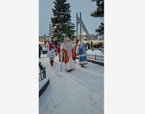 Дед Мороз в Птз