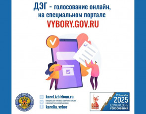 карточка Избиркома РК о ДЭГ