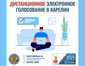 карточка Избиркома Карелии о ДЭГ