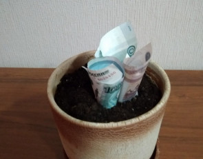 деньги растут  дома