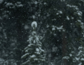 снег_погода