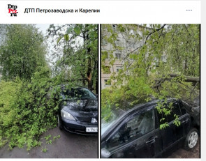 дерево на машине