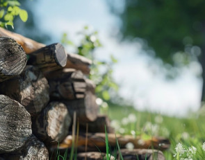 Рубка деревьев