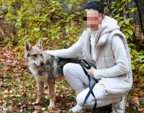 Девушка и Джей