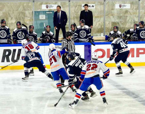 Хоккейная игра