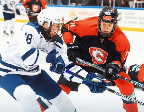 Хоккей с шайбой