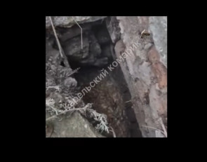 страшный дом