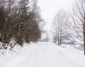 снег на дороге