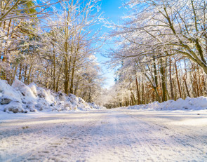 дорога_зима