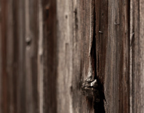 гнилые доски