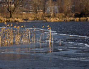 река_весна_осень