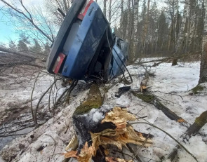 Смертельное ДТП