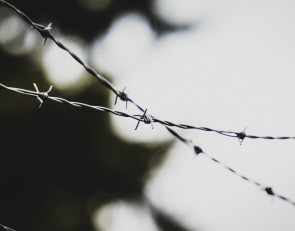 граница_проволока