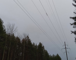 провода_электричество