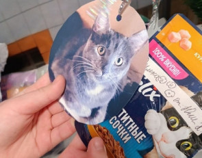 подарки для приюта животных