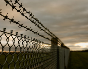 проволока_граница