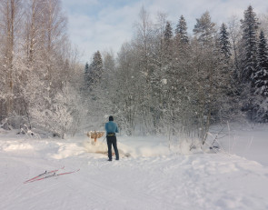 зимние Фонтаны