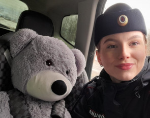 Инспектор ГАИ