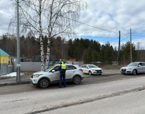 рейд_дорога_гаи