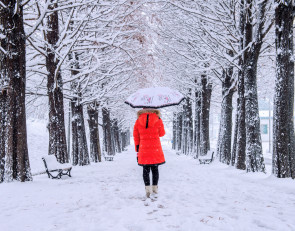 снег_дождь_зонт