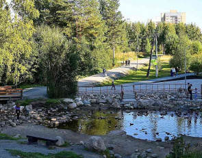 городской парк с утками