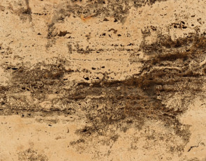 коричневая грязь