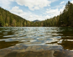 река_природа