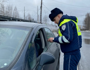 гаи_рейд_проверка