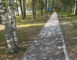 дорожка из тротуарной плитки