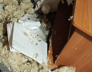Пожар в Поросозере
