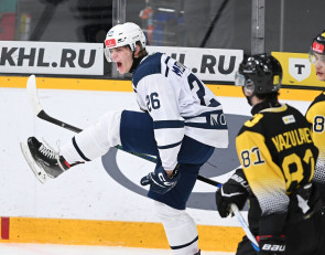 Хоккей с шайбой