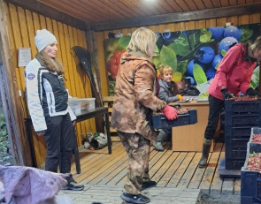 Брусника
