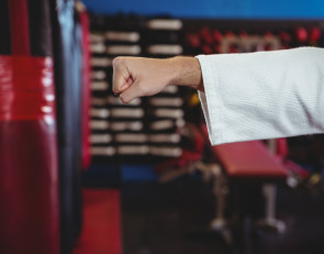 кулак_карате_самбо