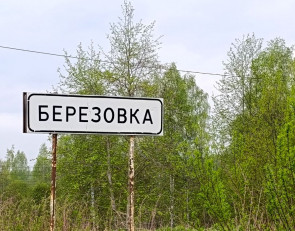 Поселок Березовка Кондопожского района 