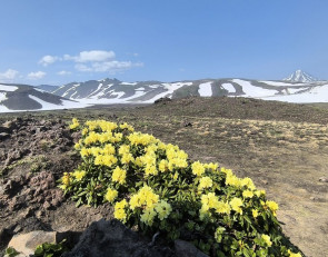 Камчатка