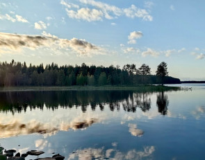 Карелия_лес_озеро_наше