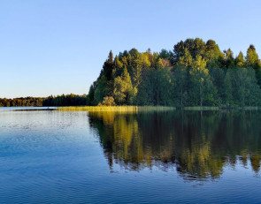 озеро, лес, Карелия