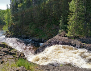 Кивач