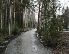 аллея_дорога