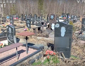 кладбище