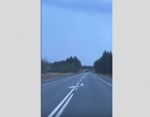 лось переходит трассу Кола